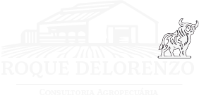 logo Roque Delorenzo